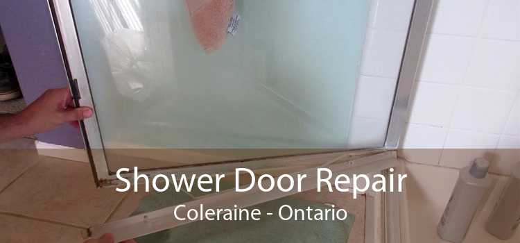Shower Door Repair Coleraine - Ontario