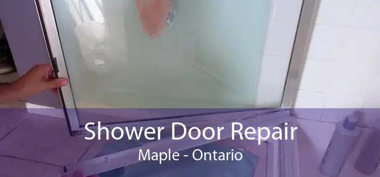 Shower Door Repair Maple - Ontario
