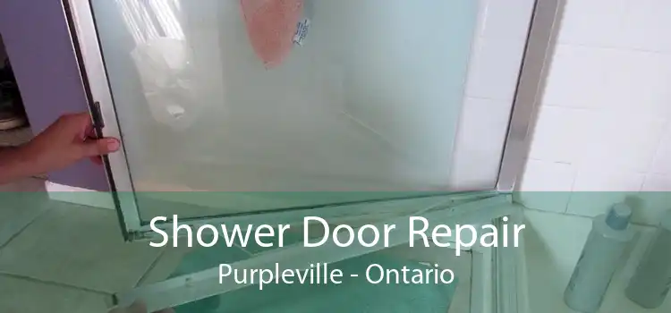 Shower Door Repair Purpleville - Ontario