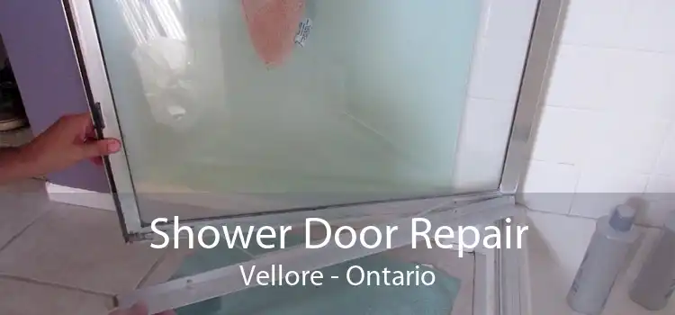 Shower Door Repair Vellore - Ontario