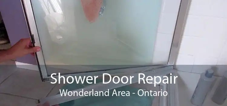 Shower Door Repair Wonderland Area - Ontario