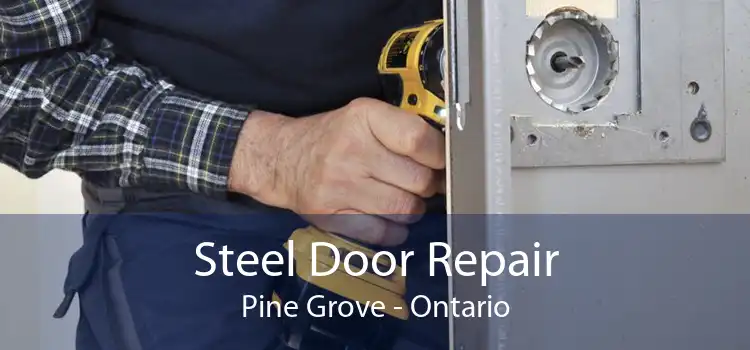 Steel Door Repair Pine Grove - Ontario