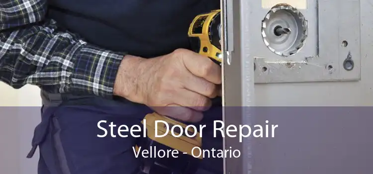 Steel Door Repair Vellore - Ontario