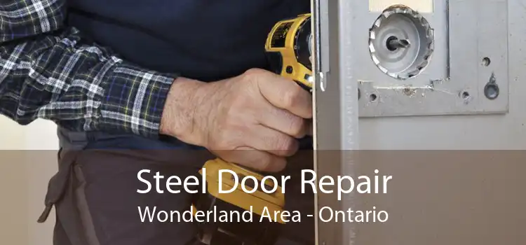 Steel Door Repair Wonderland Area - Ontario
