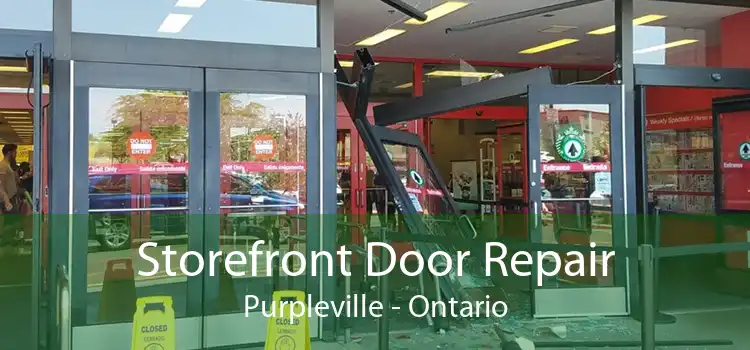 Storefront Door Repair Purpleville - Ontario