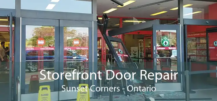 Storefront Door Repair Sunset Corners - Ontario