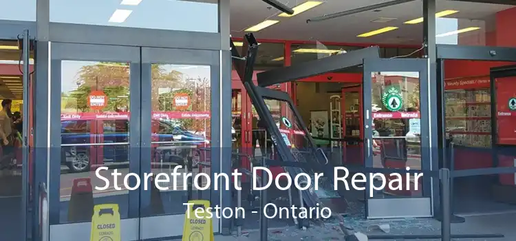 Storefront Door Repair Teston - Ontario